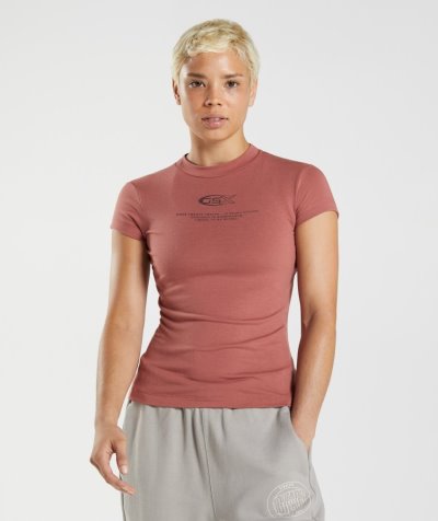 Women's Gymshark GS10 Year Body Fit T Shirts Rose Brown | NZ1420-383